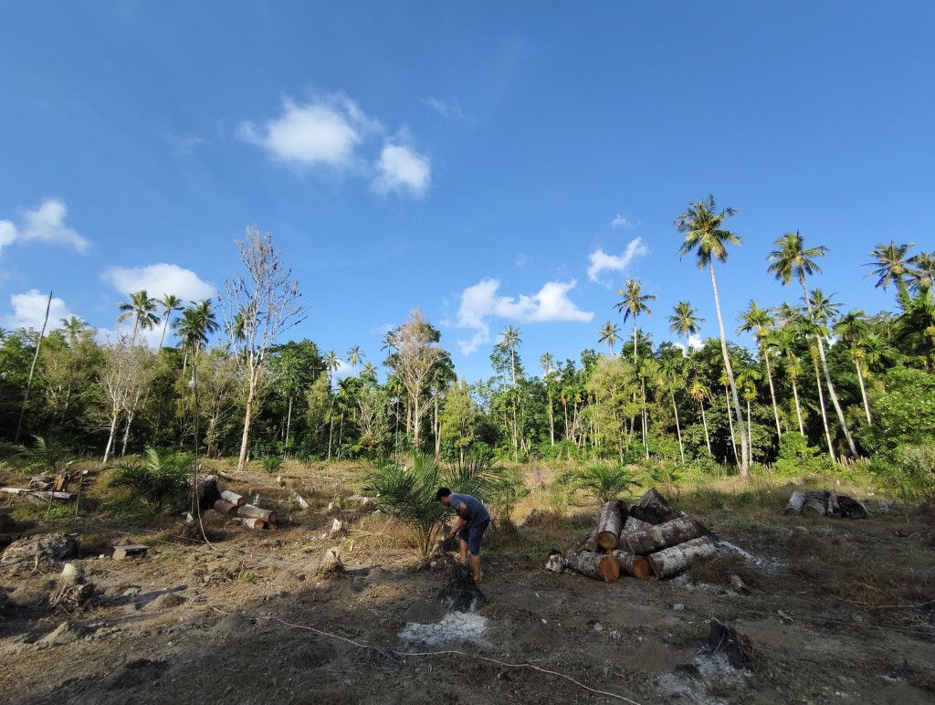 Pengembangan Lahan Pertanian di Desa Kahad
